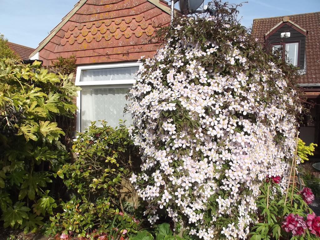 March Cottage カンタベリー エクステリア 写真